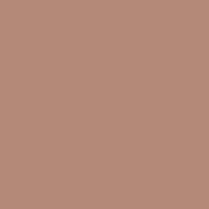 Mocha mousse