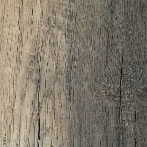 Olmo corteccia