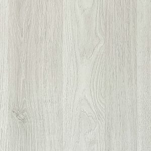 Rovere artico