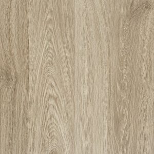 Rovere corteccia
