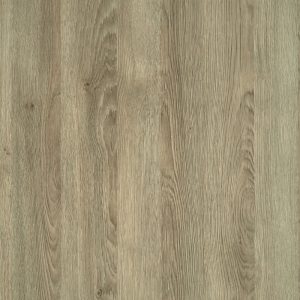 Rovere sabbia